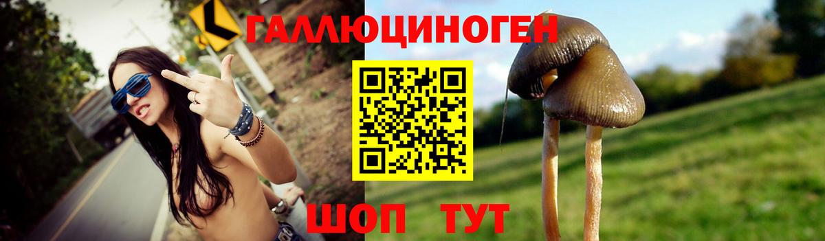 Галлюциногенные грибы мицелий Асино